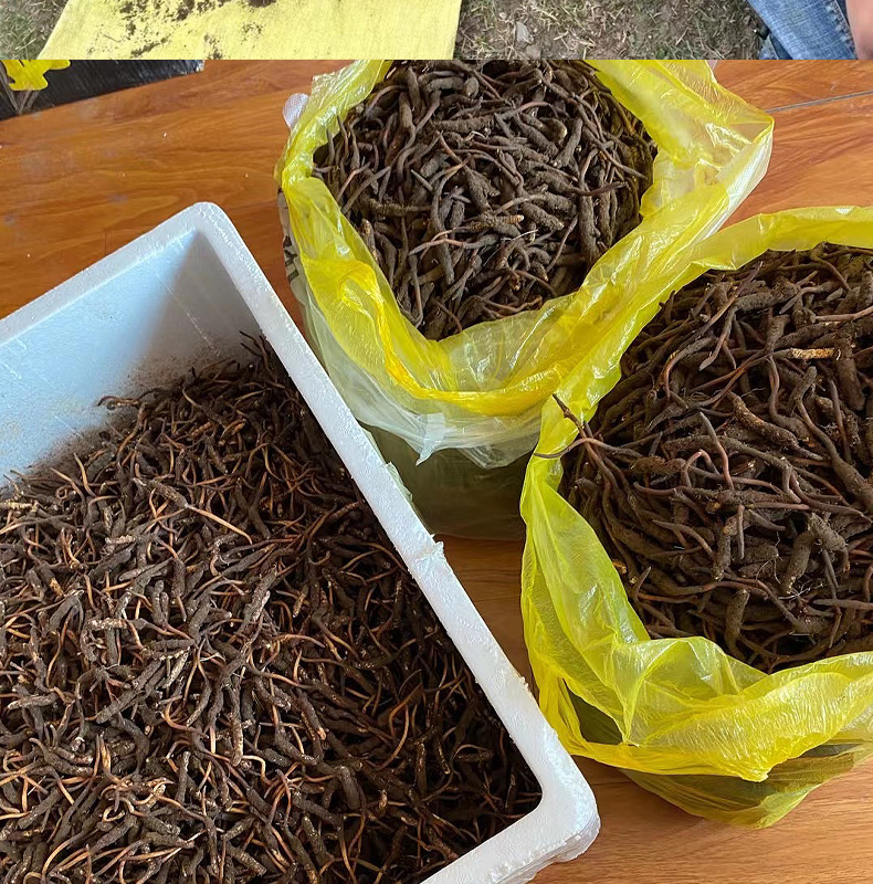 眾興菌業(yè)2024年報：歸母凈利潤暴跌198%金針菇市場挑戰(zhàn)重重！(圖1)