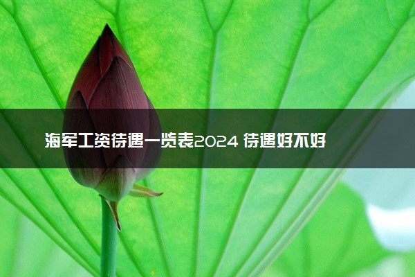 海軍工資待遇一覽表2024待遇好不好(圖1)