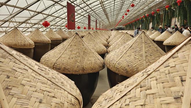 宜昌為何能有一批世界級農(nóng)業(yè)：繁育蟲草養(yǎng)殖鱘魚柑橘魔芋深耕大健康(圖6)