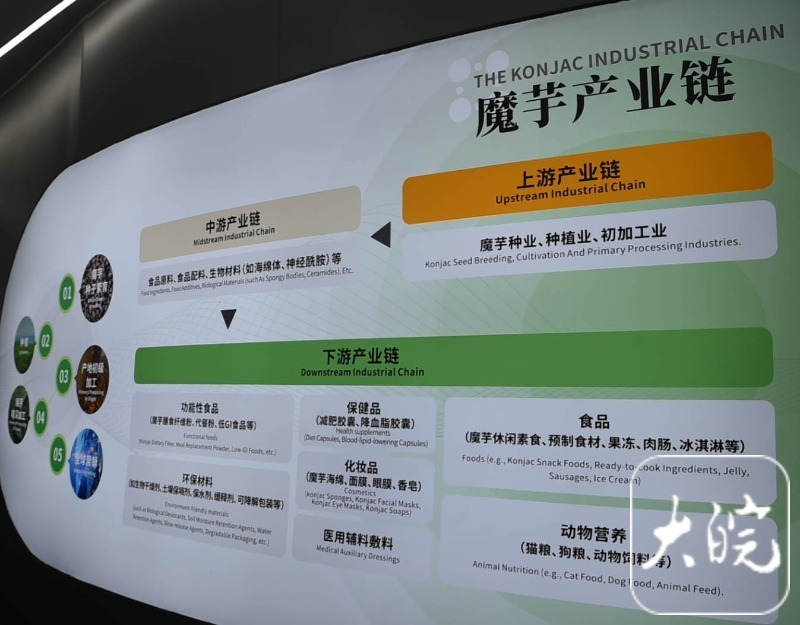 長(zhǎng)三角主流媒體宜昌調(diào)研行宜昌土特產(chǎn)的“含金量”越來越高(圖4)