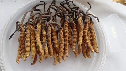 省紀(jì)委監(jiān)委曝光5起違反中央八項(xiàng)規(guī)定精神典型問題(圖1)