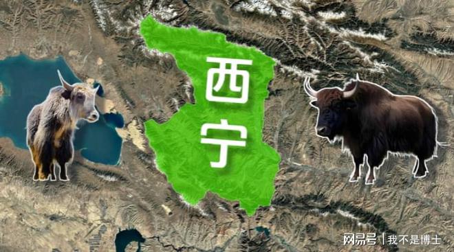 不打工靠蟲草！青海逆襲秘訣曝光月入過萬(wàn)牧民多過打工人？(圖3)