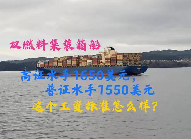 Kaiyun：雙燃料集裝箱船高證水手1650美元普證1500美元這個(gè)工資標(biāo)準(zhǔn)怎么樣？(圖1)