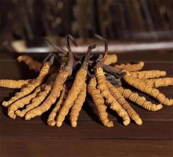 生態(tài)養(yǎng)殖新模式：李順江的綠色奇跡與經(jīng)濟(jì)轉(zhuǎn)型(圖1)
